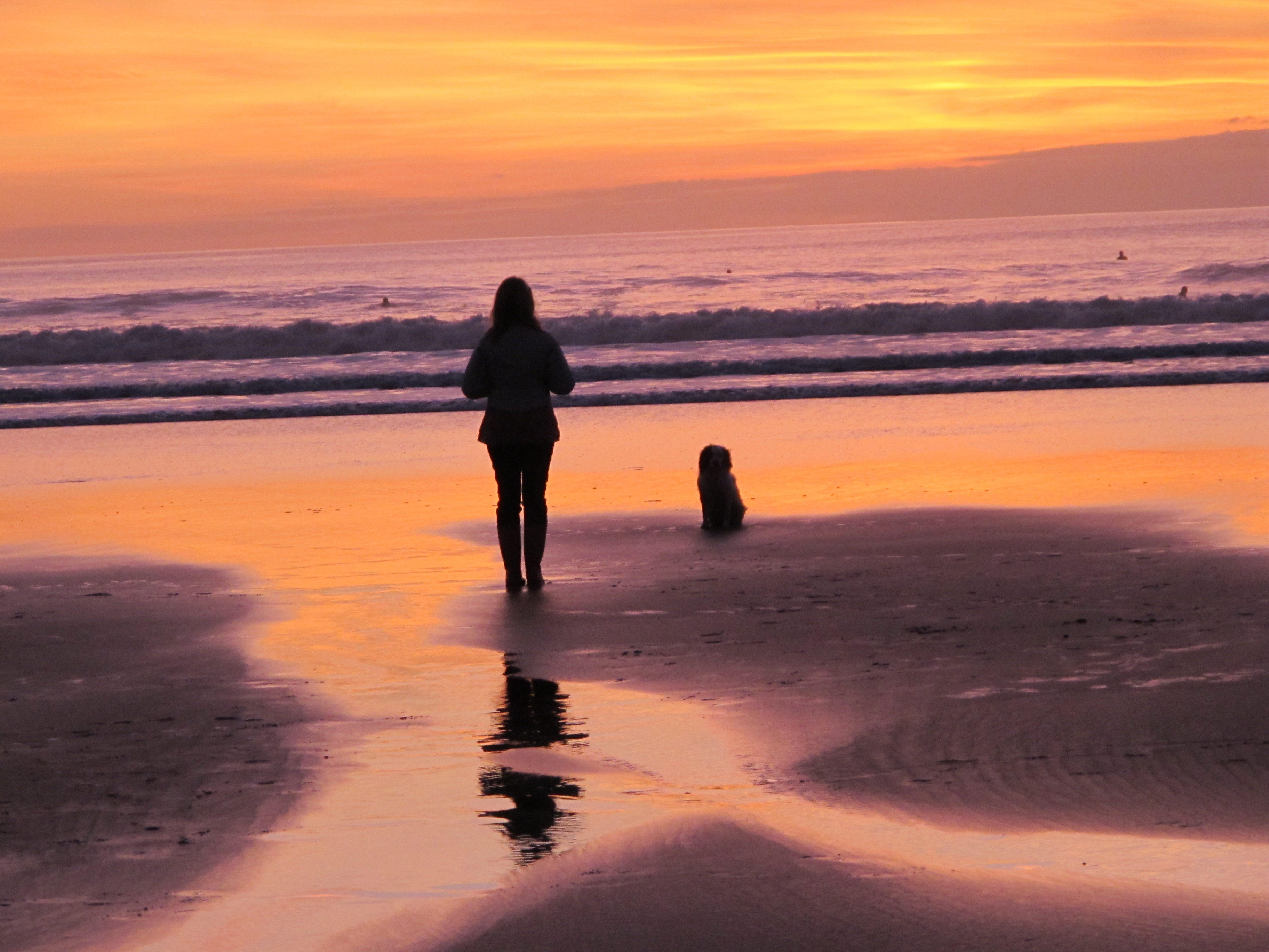 NORTH DEVON’S DOG FRIENDLY BEACHES YOU CAN VISIT THIS AUTUMN/WINTER